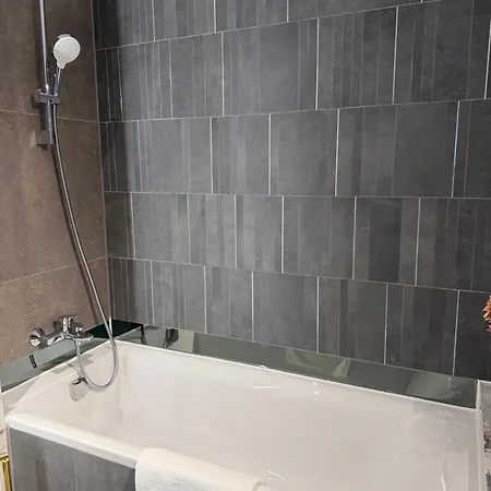 Апартаменты Panorama Coresi Penthouse *