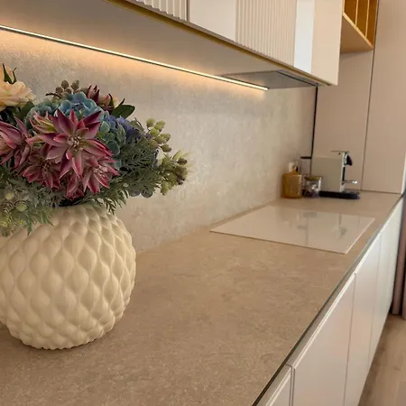 Appartement Panorama Coresi Penthouse *