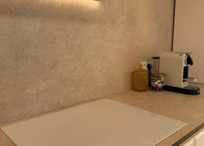 公寓 Panorama Coresi Penthouse