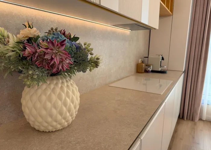 公寓 Panorama Coresi Penthouse *