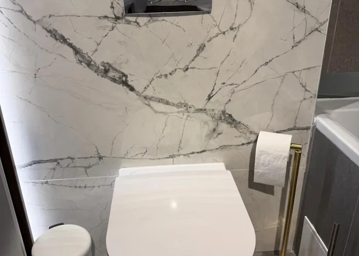 Panorama Coresi Penthouse * 布拉索夫