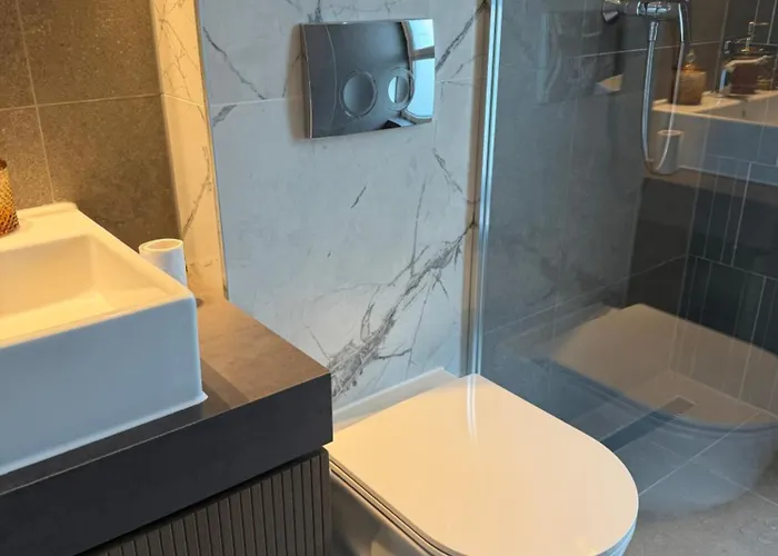 Panorama Coresi Penthouse 公寓