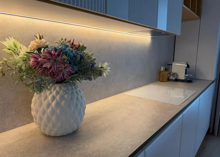 公寓 Panorama Coresi Penthouse *